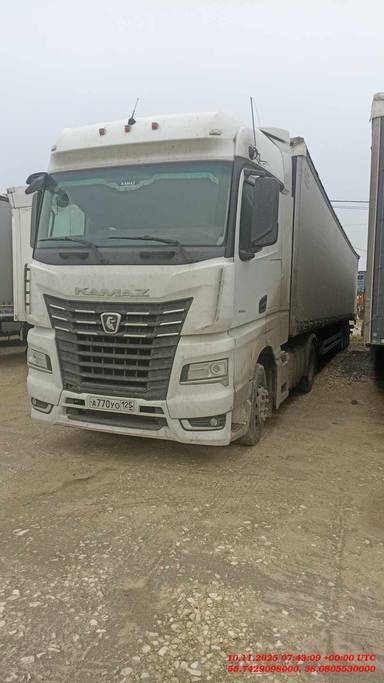 КАМАЗ 54901-94 (M1945)