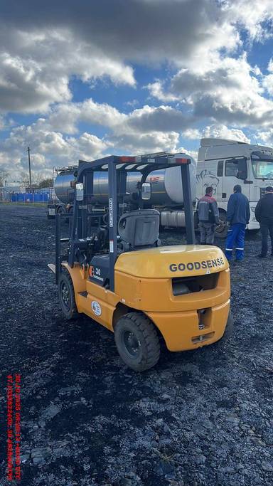 GOODSENSE FD30T1-X12