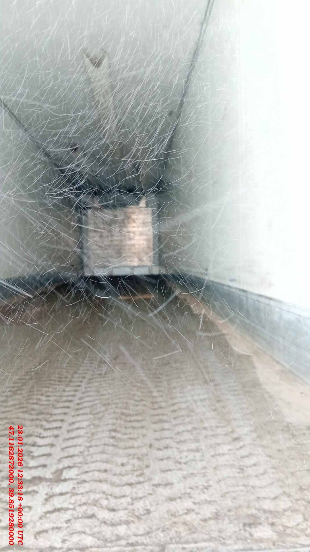 SCHMITZ Рефрижератор SKO24/L, 2019 года в лизинг