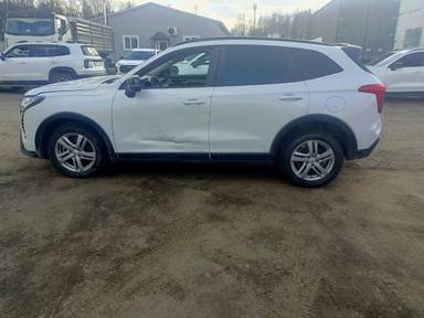 Haval Jolion