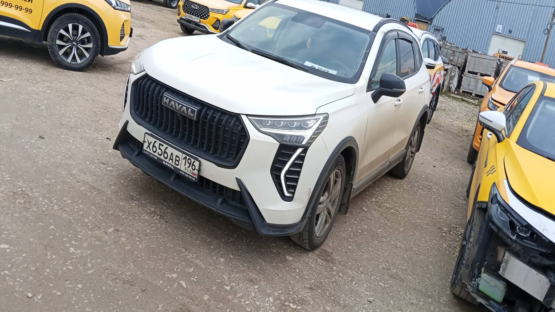 Haval Jolion