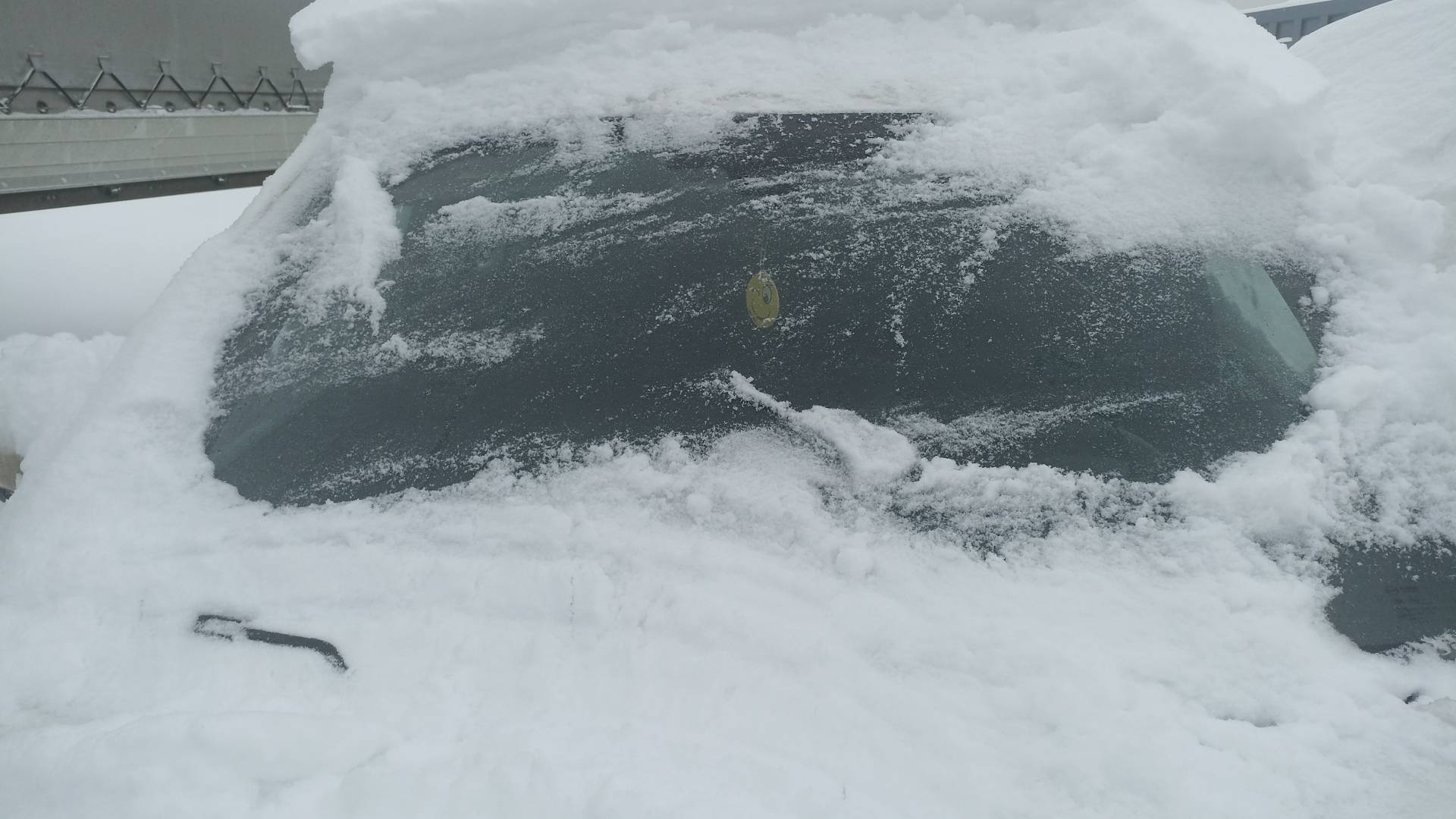 SWM G05 Pro,  65 000 км, 2023 года в лизинг