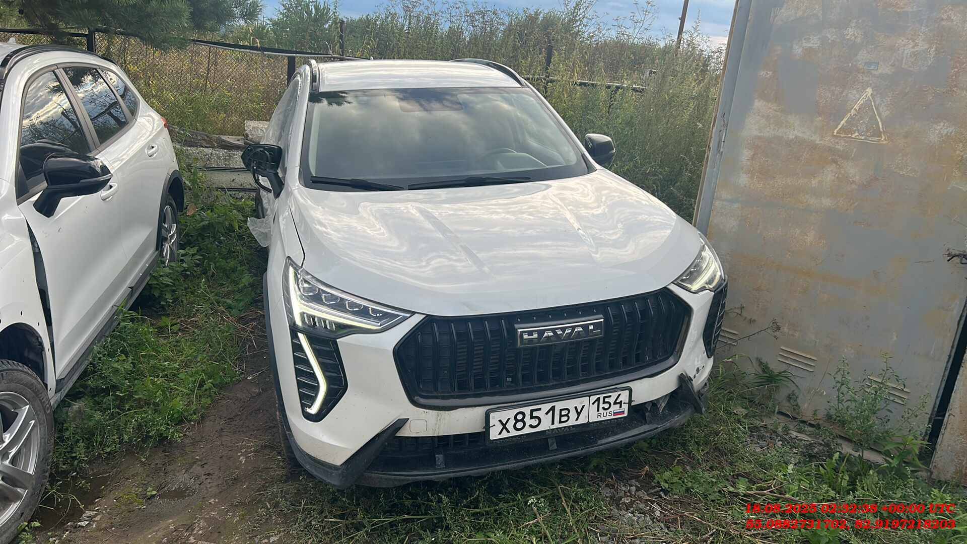 Haval Jolion,  53 858 км, 2024 года