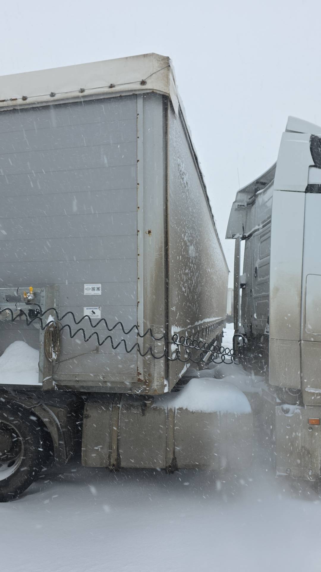 BONUM 914296-04, 2023 года