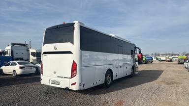 GOLDEN DRAGON XML 6952 JR