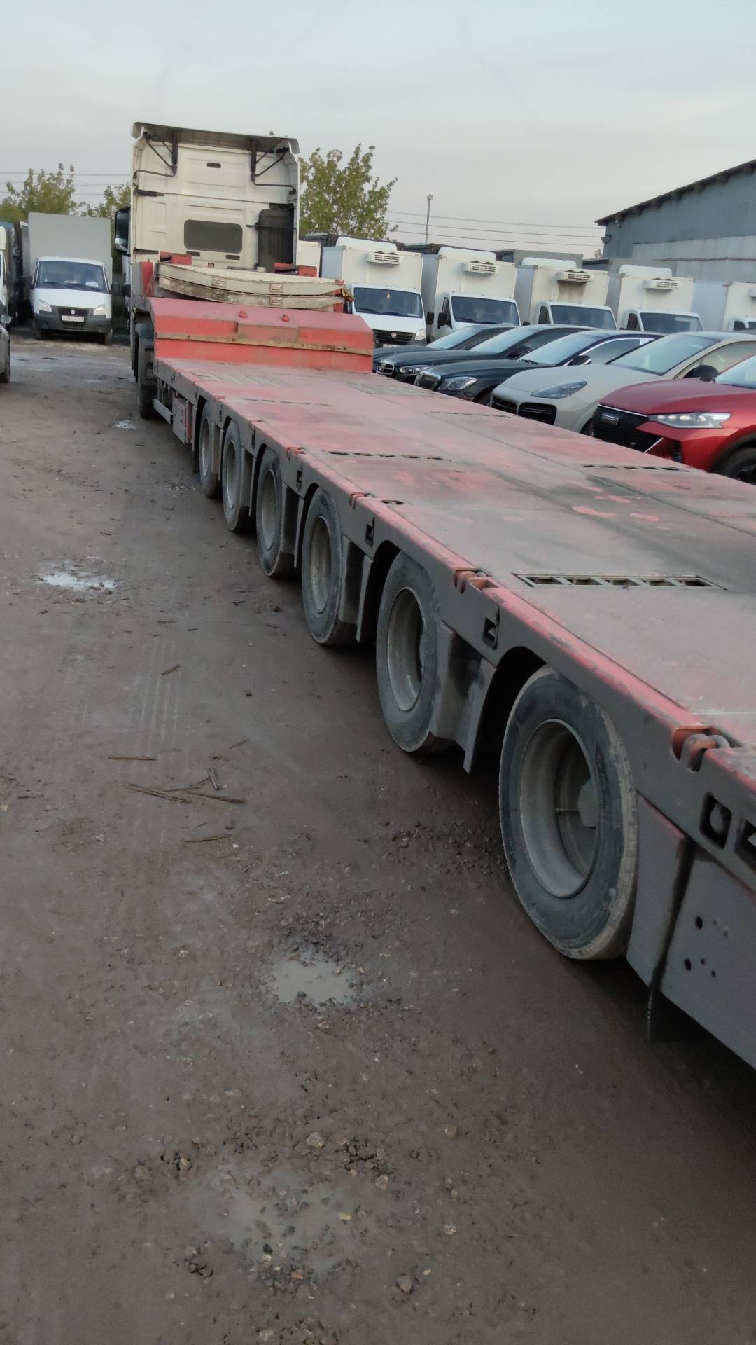 AMUR LYR9906ТDРL