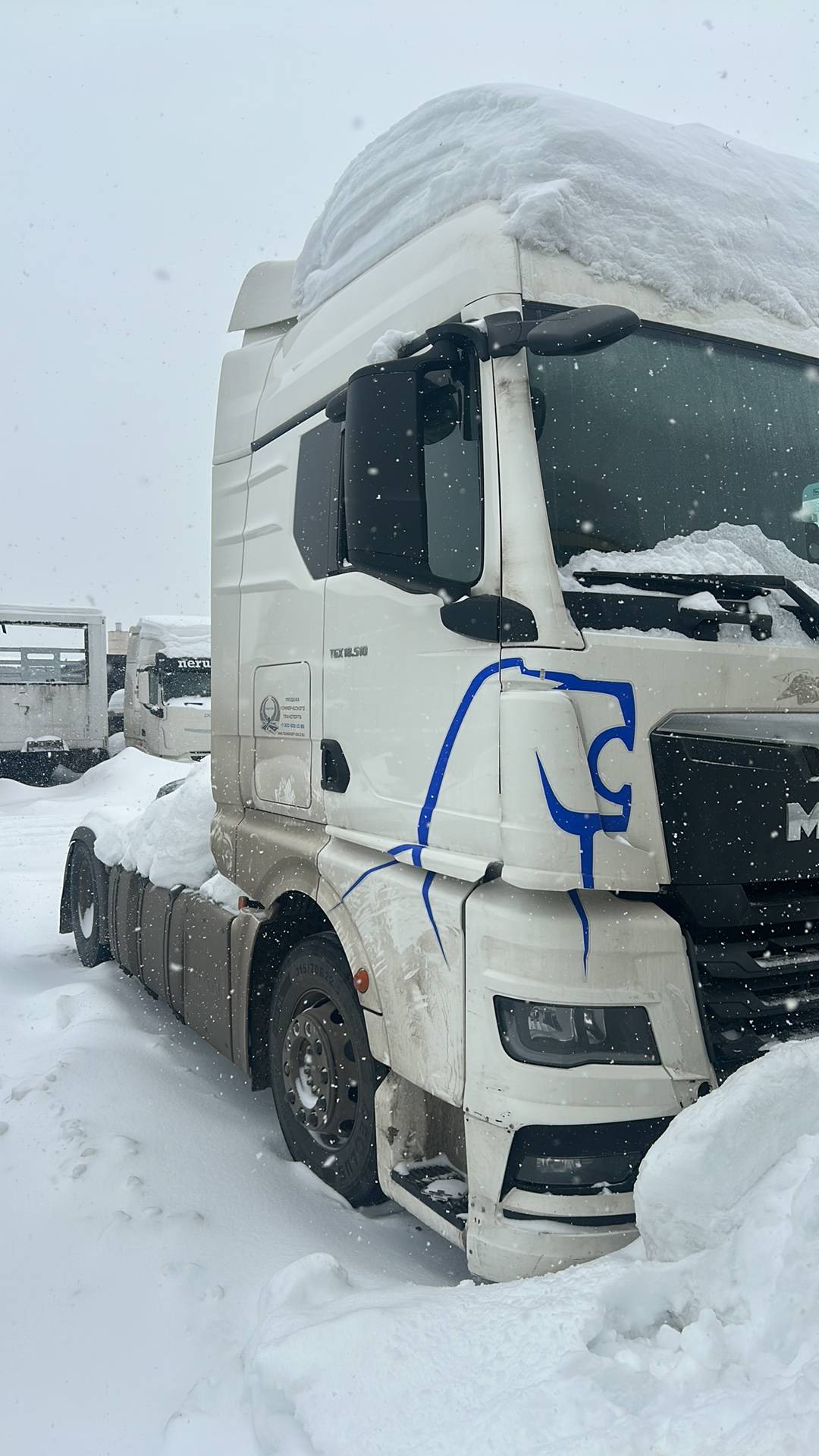 MAN TGX 18.510 4X2 BLS