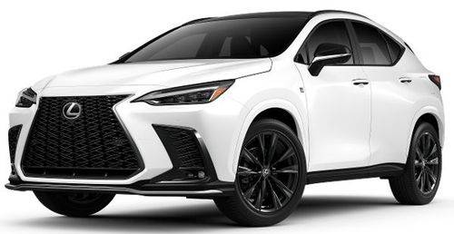 Lexus NX 350 - Белый