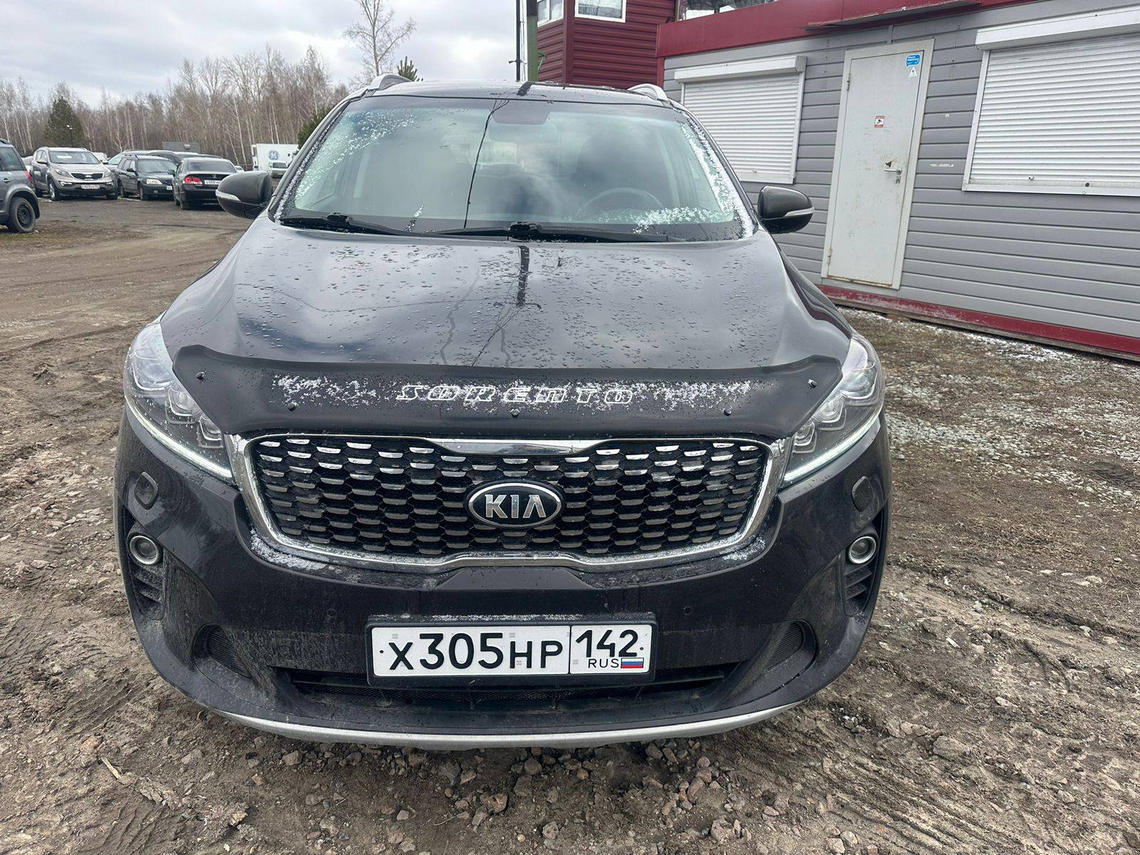 KIA Sorento Prime Лот 000001780