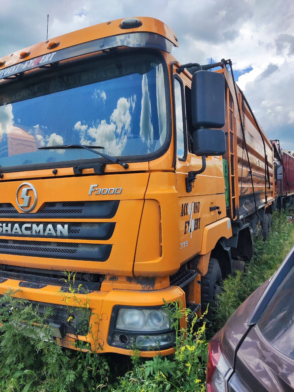 Shacman SX3318DT366 8x4