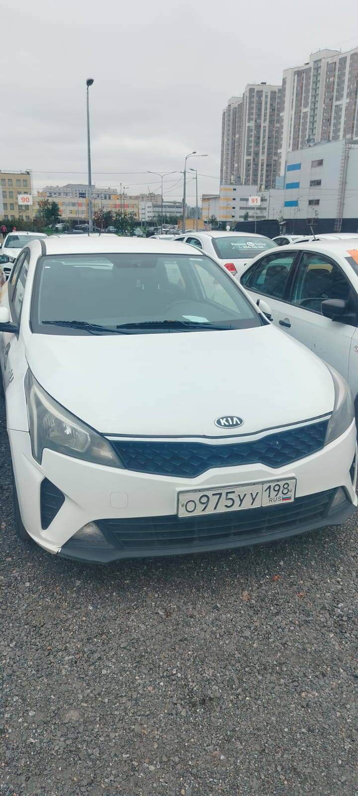 KIA Rio