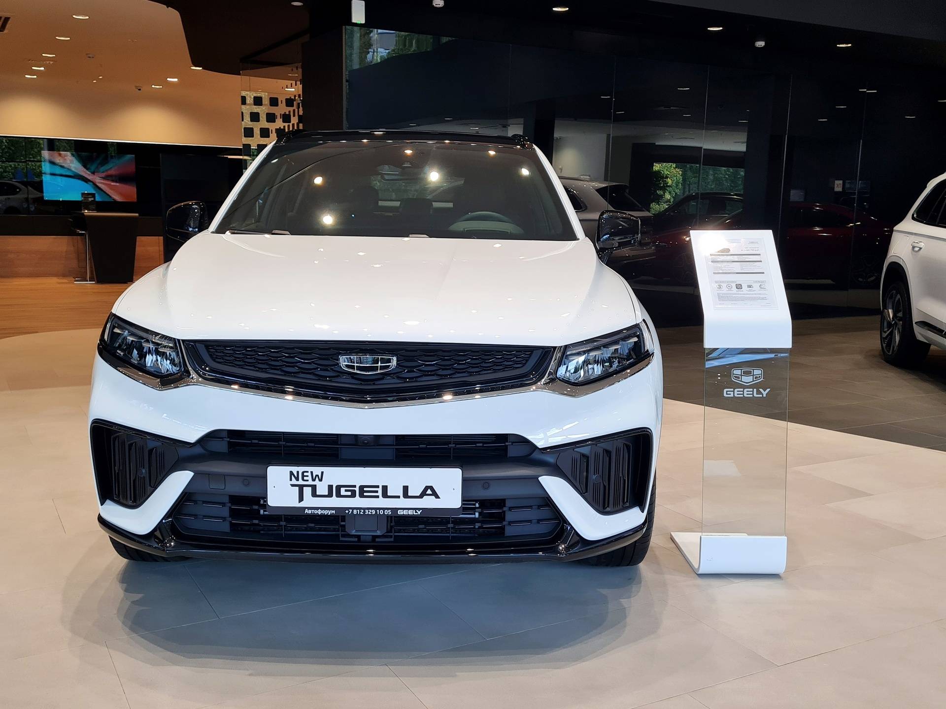 Geely Tugella Flagship Sport 2.0T (238 hp) 8AT 4WD