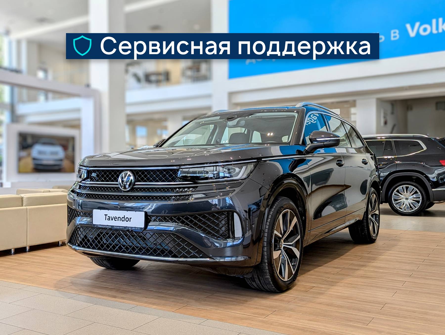 Volkswagen Tavendor - Серый