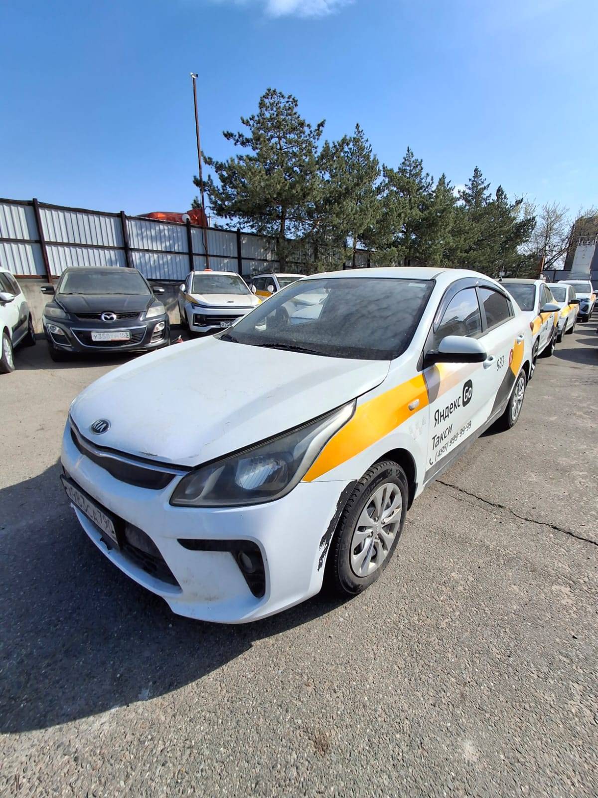 KIA Rio