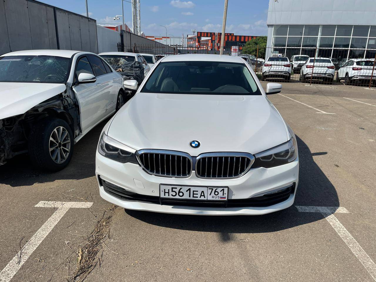 BMW 5 серия Лот 000004676