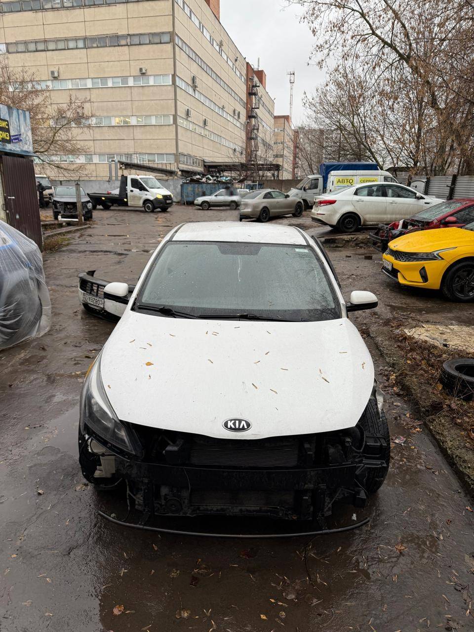 KIA Rio Лот 000006999
