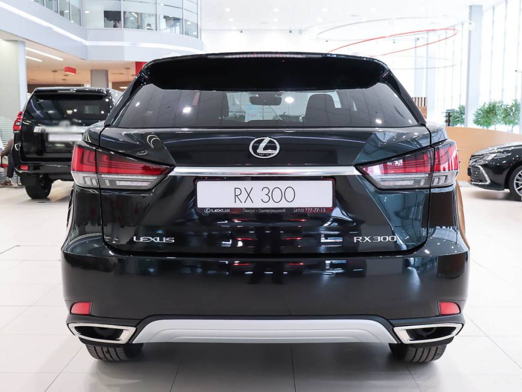 Lexus RX 300 AWD Luxury