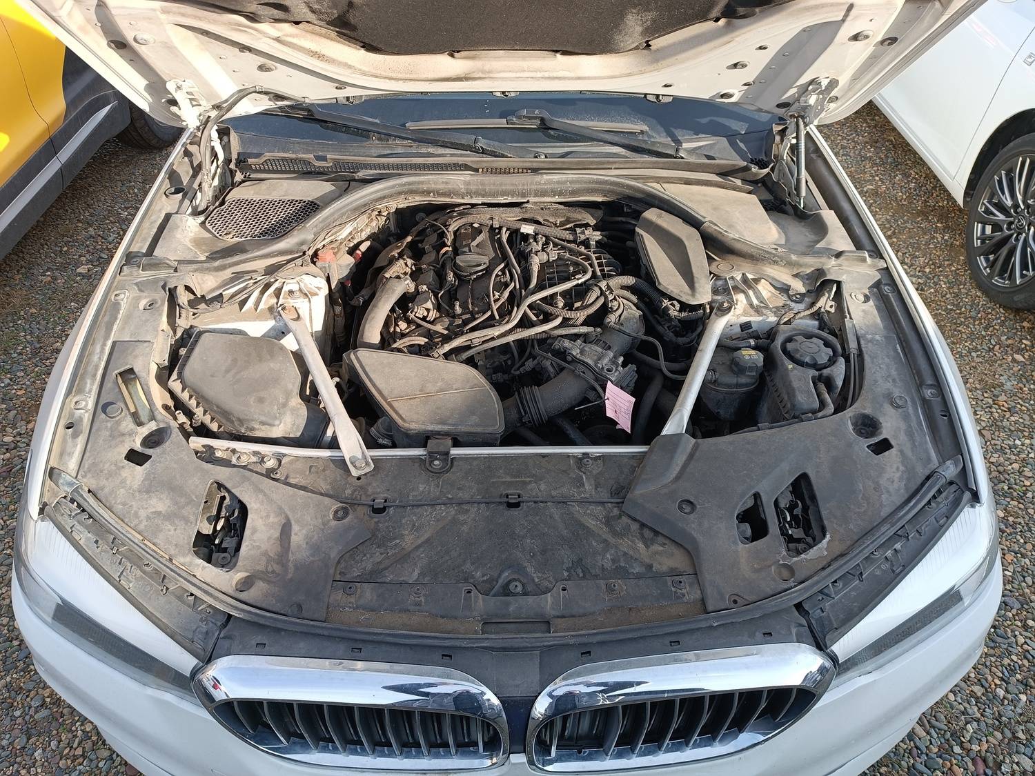 BMW 5 серия Лот 000005260