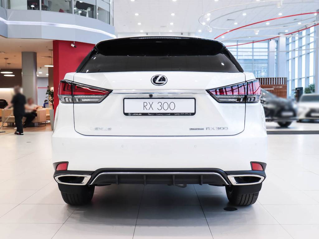 Lexus RX 300 AWD F SPORT