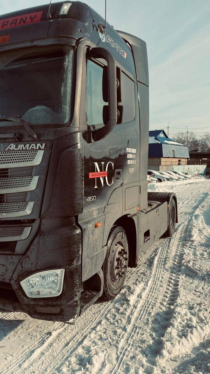Foton AUMAN BJ4189SLFKA