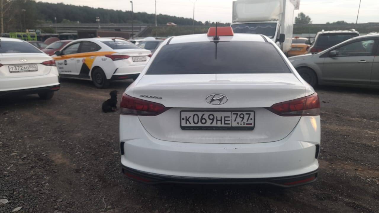 Hyundai Solaris Лот 000005063